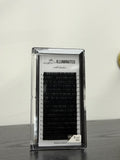 Silk Lashes